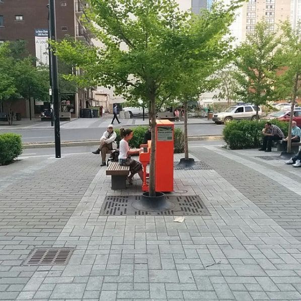Photo of Maisonneuve at 1414, Rue Chomedey, Montagne, Ville-Marie, Montreal, Urban agglomeration of Montreal, Montreal (06), Quebec, H3H 1M6, Canada
