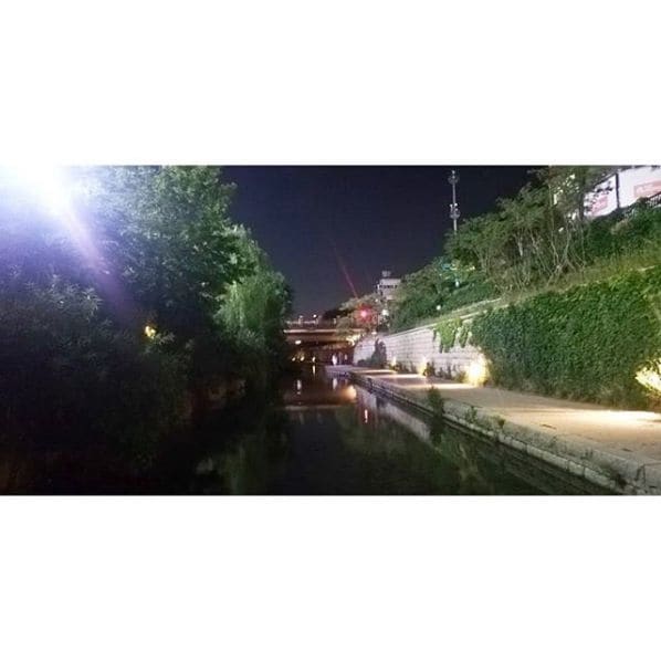 Photo of Cheonggyecheon Stream at 청계11빌딩, 11, Cheonggyecheon-ro, Jongno 1·2·3·4(ilisamsa)-ga-dong, Jongno-gu, Seoul, Nowon-gu, 03187, South Korea