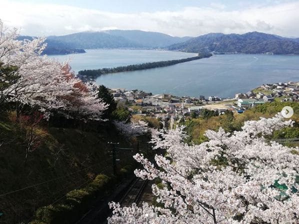 Photo of 傘松公園 at 傘松公園, 笠松成合山ウオーキングロード, Ogaki, Miyazu, Kyoto Prefecture, 629-2242, Japan
