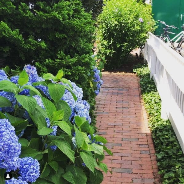 Photo of Rosewater Market & Take Away at 10, South Summer Street, Edgartown, Dukes County, Massachusetts, 02539, United States