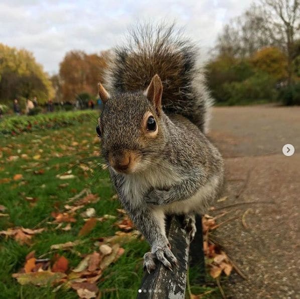 Photo of Winter Wonderland at Hyde Park, North Carriage Drive, Paddington, Westminster, London, Greater London, England, W2 2LY, United Kingdom