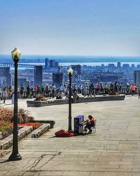 Photo of Mont Royal at Boucle du Sommet, Montagne, Ville-Marie, Montreal, Urban agglomeration of Montreal, Montreal (06), Quebec, H3G 1A8, Canada