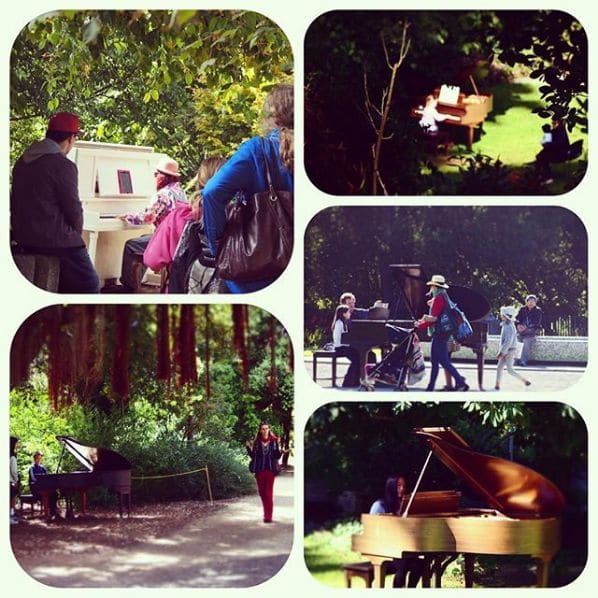 Photo of Strybing Arboretum Society of Golden Gate Park at 1101;1115;1117, Irving Street, Inner Sunset, San Francisco, California, 94122, United States