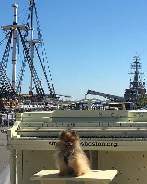 Photo of Charlestown Navy Yard, MA, USA at Aquarium, McKinley Square, Dock Square, Financial District, Boston, Suffolk County, Massachusetts, 02109, United States