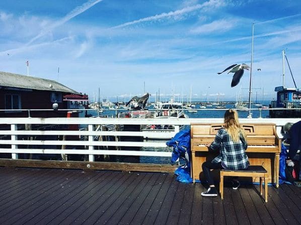 Photo of Monterey Fisherman's Wharf at Fisherman's Wharf, Custom House Plaza, New Monterey, Monterey, Monterey County, California, United States. Career path
