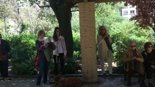 Photo of Turó Park at poema de Federico García Lorca, Carrer de Francesc Pérez-Cabrero, Galvany, Sant Gervasi - Galvany, Sarrià - Sant Gervasi, Barcelona, Barcelonès, Barcelona,…