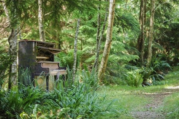 Photo of Bowen Island, British Columbia at Prometheus Place, Bowen Island Municipality, Metro Vancouver Regional District, British Columbia, V0N 1G0, Canada. A musical forest