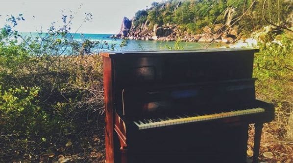 Photo of Radical Bay at Adele's Cafe, Pacific Drive, Horseshoe Bay, Townsville City, Queensland, 4819, Australia