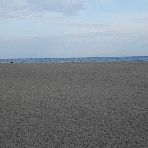 Photo of The Beach, Queen St East, Toronto at Foodland, Queen Street East, The Beaches, Beaches—East York, Old Toronto, Toronto, Golden Horseshoe, Ontario, M4L 1J3, Canada
