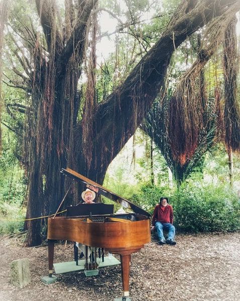Photo of Golden Gate Park at 45, Hagiwara Tea Garden Drive, San Francisco, California, 94118, United States