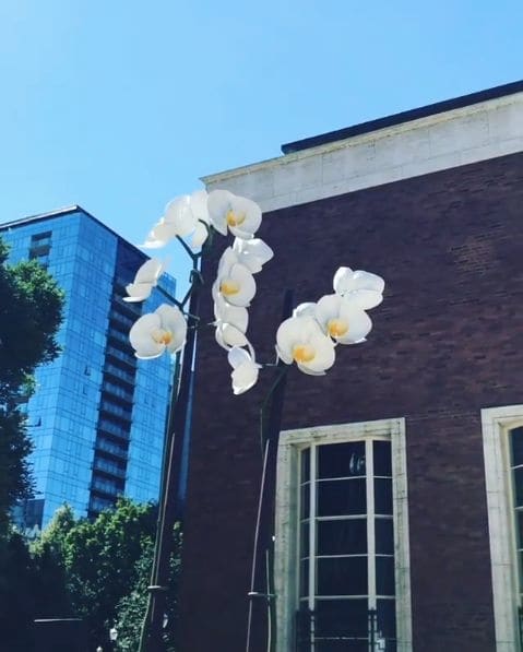 Photo of Portland Art Museum at Belluschi Building, Fred Meyer Plaza, University District, Downtown, Portland, Multnomah County, Oregon, 97204, United States