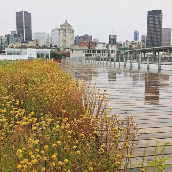 Photo of Grand Quai Du Port De Montréal at Hangar 3, Promenade du vieux port, Old Montreal, Ville-Marie, Montreal, Urban agglomeration of Montreal, Montreal (06), Quebec, H2Y…