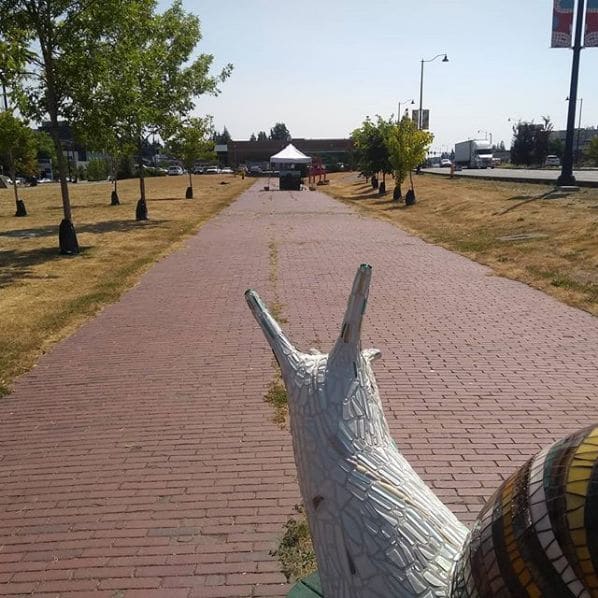 Photo of Shoreline, Washington at North 175th Street, Meridian Park, Richmond Highlands, Shoreline, King County, Washington, 98133-6124, United States