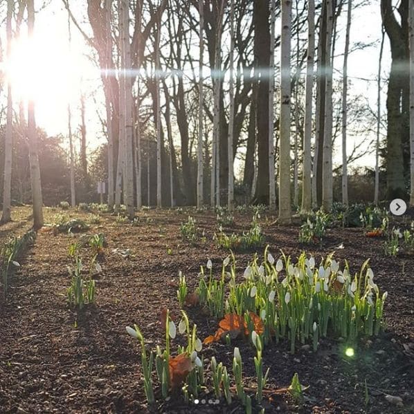 Photo of Dunham Massey at Dunham Massey Park, Woodhouse Lane, Dunham Massey, Dunham Town, Trafford, Greater Manchester, North West England, England, WA14 4SB, United Kingdom