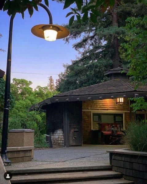 Photo of UC Davis Arboretum and Public Garden at Shields Grove Arboretum, Peter J Shields Avenue, Yolo County, California, 95616, United States