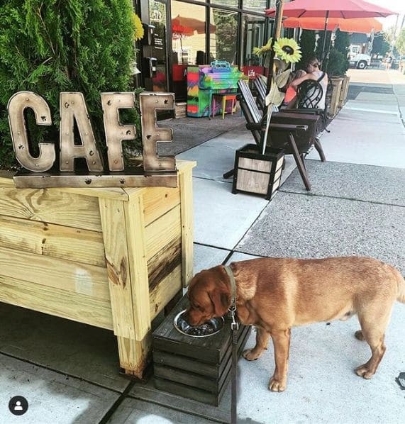 Photo of Cedar Bean's Coffee Joint at Giuseppe's, Pompton Avenue, Cedar Grove, Essex County, New Jersey, 07009, United States