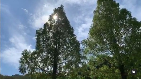 Photo of 四万十緑林公園 at Kagetsugaoka, Shimanto, Takaoka County, Kochi Prefecture, 786-0005, Japan