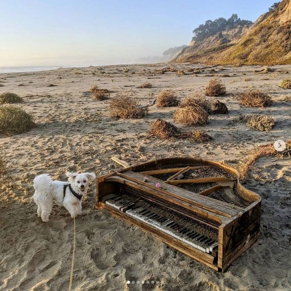 Photo of Aptos, California at 3561, East Ledyard Way, Aptos, Santa Cruz County, California, 95003, United States