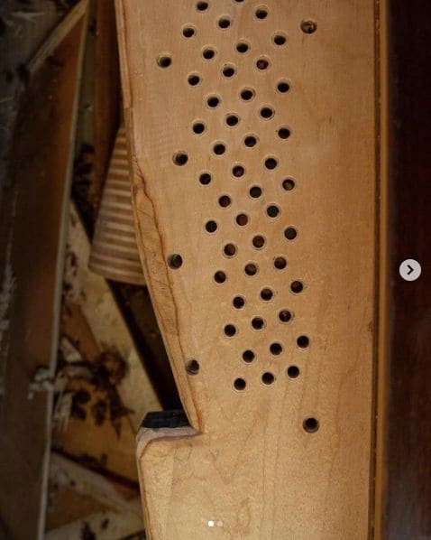 Photo of Chulo's Piano Refinishing at 578, Nepperhan Avenue, Yonkers, Westchester, New York, 10701, United States