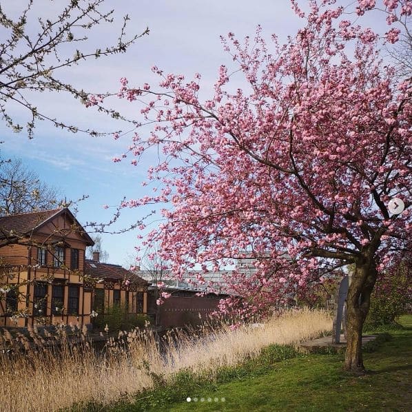Photo of Amsterdam, Netherlands at Albert Heijn to go, 13A, Stationsplein, Centrum, Amsterdam, North Holland, Netherlands, 1012AB, Netherlands. springtime in the city 🌸