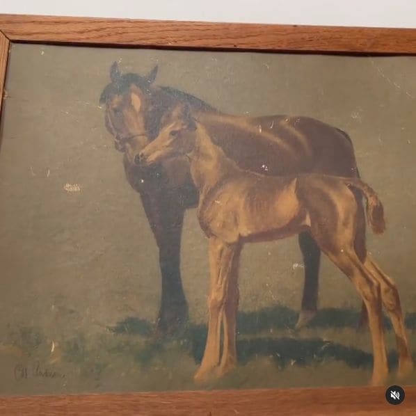 Photo of The Royal Cuckoo Market and Horsies Saloon at 3368;3370, 19th Street, Mission District, San Francisco, California, 94110, United States