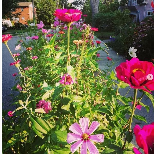 Photo of Wortley Village - London at 324, Wortley Road, Wortley Village, London, Southwestern Ontario, Ontario, N6C 3R6, Canada