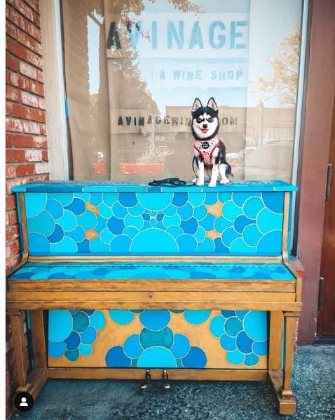 Photo of Downtown Petaluma, Petaluma at 4th Street Parking, 4th Street, Petaluma, Sonoma County, California, 94952, United States. Happy Monday friends! 😄\nSo we found another…