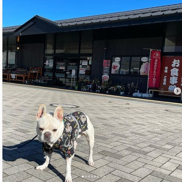 Photo of 道の駅日光 日光街道ニコニコ本陣 at 日本のこころのうたミュージアム 船村徹記念館, 道の駅日光 日光街道ニコニコ本陣, 今市, Nikko, Tochigi Prefecture, ３２１１２７３, Japan