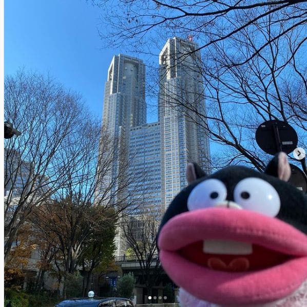 Photo of 東京都庁 南展望室 at Shinjuku Central Park, Midori-no-hashi, Nishi-Shinjuku 2-chome, Shinjuku, Tokyo, 163-8001, Japan