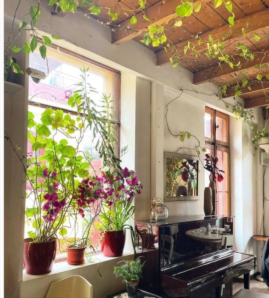 Photo of Γιασεμί at Yiasemi, 23, Μνησικλέους, Plaka, 1st District of Athens, Athens, Municipality of Athens, Regional Unit of Central Athens, Attica, 105 56, Greece