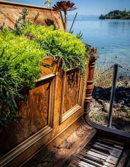 Photo of Insel Mainau at Naturschutzgebiet Obere Güll, Graf-Lennart-Bernadotte-Allee, Konstanz-Egg, Constance, Verwaltungsgemeinschaft Konstanz, Landkreis Konstanz,…