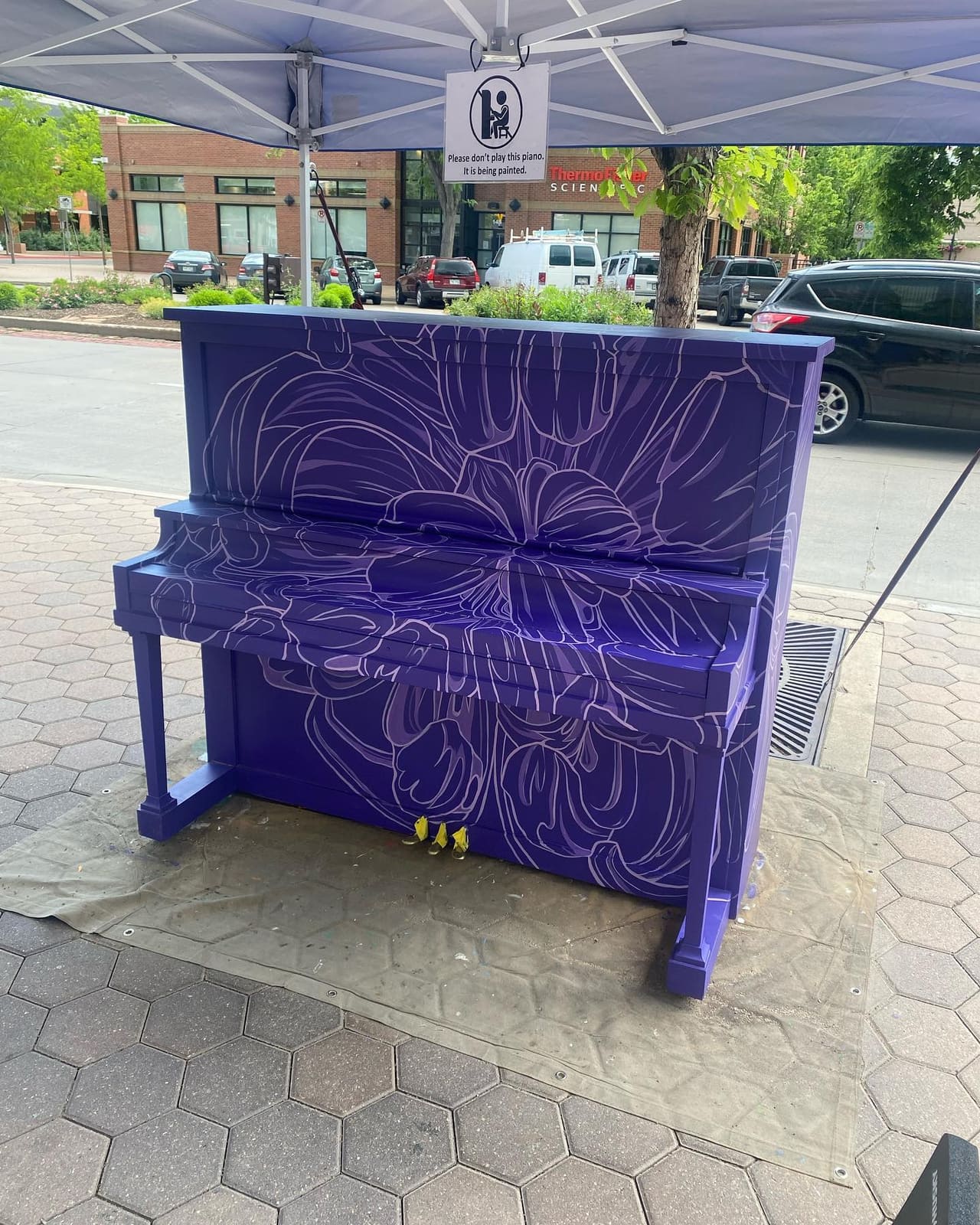 Photo of Old Town Fort Collins, Co at 2169, Stetson Creek Drive, Saddle Brook, Fort Collins, Larimer County, Colorado, 80528, United States. Gorgeous 💜