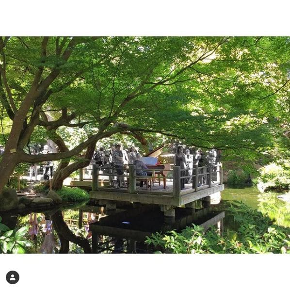 Photo of San Francisco Botanical Garden at San Francisco Botanical Garden, 1199, 9th Avenue, Inner Sunset, San Francisco, California, 94122, United States