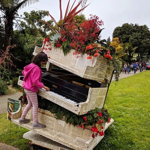 Photo of San Francisco Botanical Garden at San Francisco Botanical Garden, 1199, 9th Avenue, Inner Sunset, San Francisco, California, 94122, United States