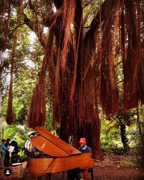 Photo of San Francisco Botanical Garden at San Francisco Botanical Garden, 1199, 9th Avenue, Inner Sunset, San Francisco, California, 94122, United States. Today is the final day…