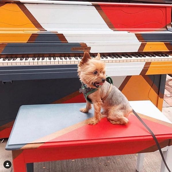 Public piano in Ann Arbor, Michigan, United States