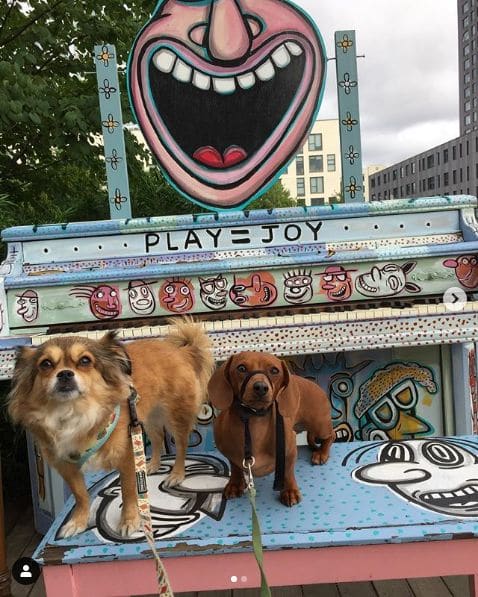 Photo of The Fields Park at Northwest Pettygrove Street, Block 17, Pearl District, Portland, Multnomah County, Oregon, 97209, United States