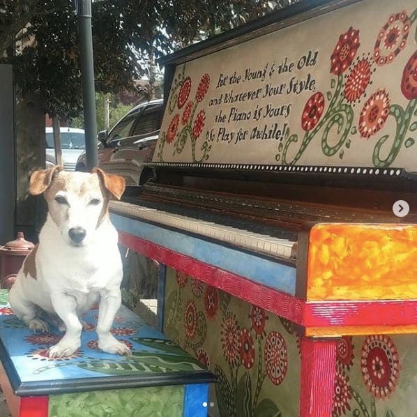 Photo of Bigfork Art & Cultural Center at Bigfork Summer Playhouse, River Street, Bigfork, Flathead County, Montana, United States. Oh boy.....Rocky Russo's in the house!