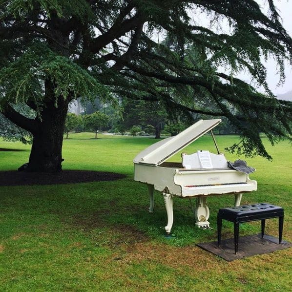 Photo of Golden Gate Park at 30, Stow Lake Drive, Inner Sunset, San Francisco, California, 94122, United States. Sun 7.23.2017 Flower Piano in Golden Gate Park. The beginning of…