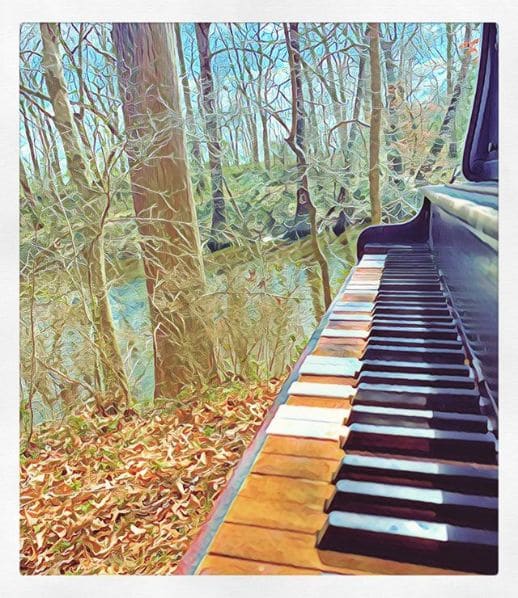 Public piano in Edgecombe County, North Carolina, United States