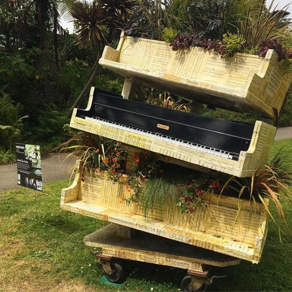 Photo of San Francisco Botanical Garden at San Francisco Botanical Garden, 1199, 9th Avenue, Inner Sunset, San Francisco, California, 94122, United States