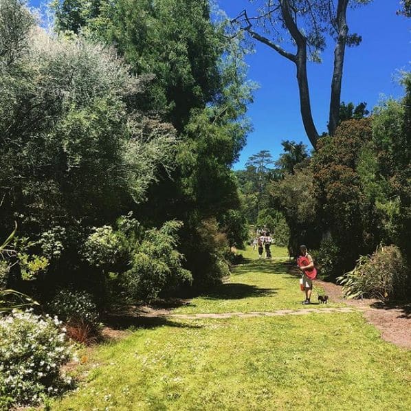 Photo of San Francisco Botanical Garden at San Francisco Botanical Garden, 1199, 9th Avenue, Inner Sunset, San Francisco, California, 94122, United States