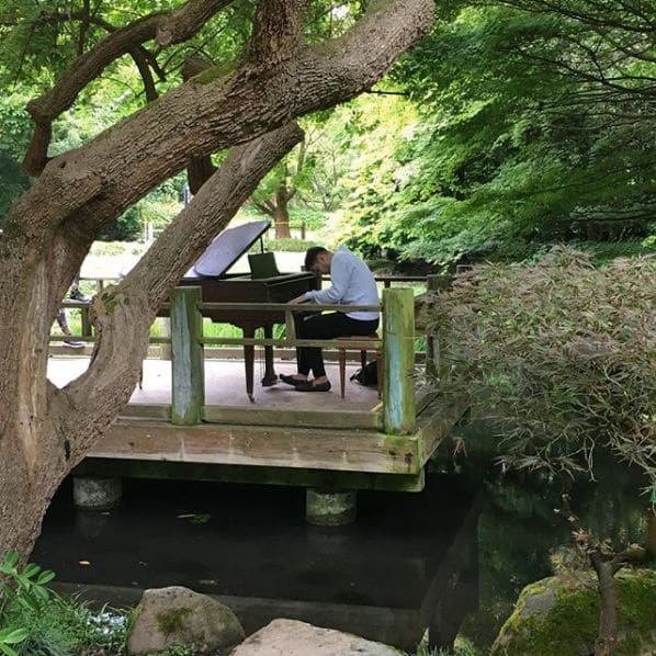 Photo of San Francisco Botanical Garden at San Francisco Botanical Garden, 1199, 9th Avenue, Inner Sunset, San Francisco, California, 94122, United States
