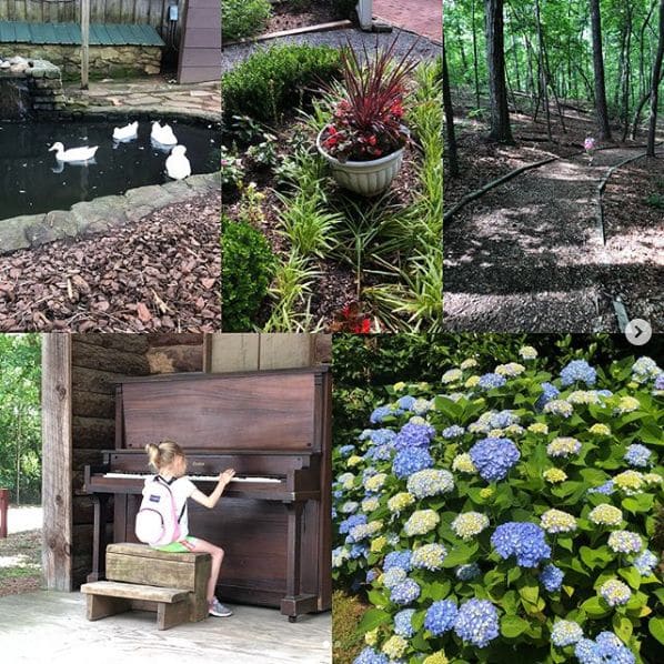 Photo of Autrey Mill Nature Preserve at Autrey Mill Road, Johns Creek, Fulton County, Georgia, 30022, United States