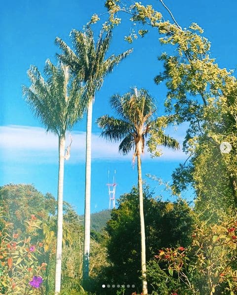 Photo of San Francisco Botanical Garden at San Francisco Botanical Garden, 1199, 9th Avenue, Inner Sunset, San Francisco, California, 94122, United States