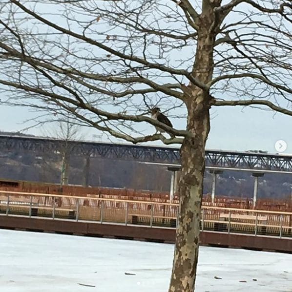 Photo of Long Dock Park - Town of Beacon, NY at 8, Long Dock Road, Beacon, Dutchess County, New York, 12508, United States