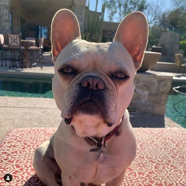 Photo of Paradise Valley, Arizona at 6445, North Invergordon Road, Paradise Valley, Maricopa County, Arizona, 85253, United States