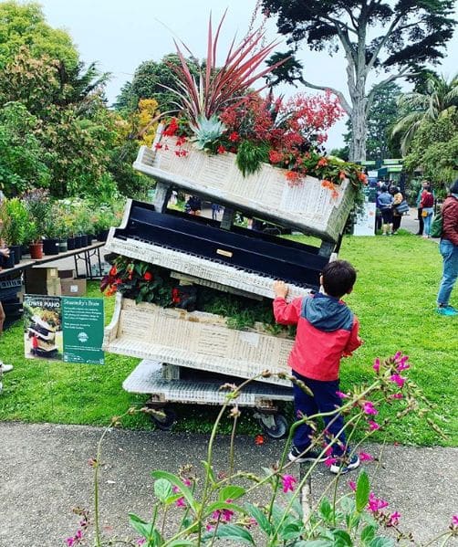Photo of San Francisco Botanical Garden at San Francisco Botanical Garden, 1199, 9th Avenue, Inner Sunset, San Francisco, California, 94122, United States