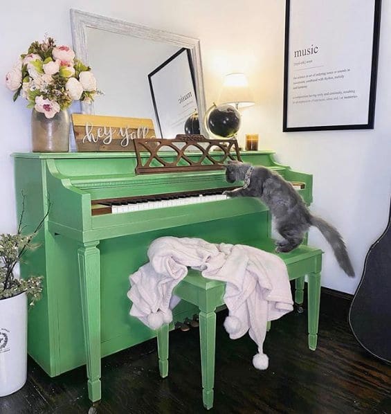 Photo of Doddridge County, West Virginia at County Route 18/6, Blandville, Doddridge County, West Virginia, United States. Mortimer practicing his scales and arpeggios 🎵😽 .…