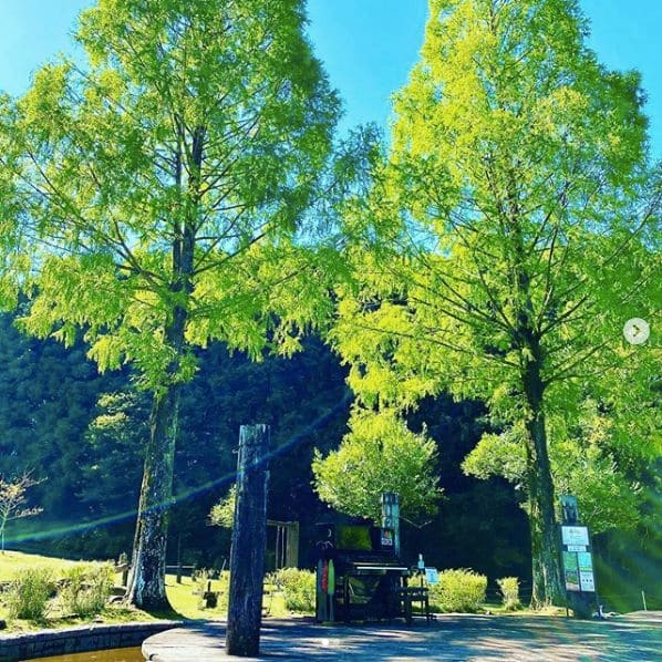 Photo of 四万十緑林公園 at Kagetsugaoka, Shimanto, Takaoka County, Kochi Prefecture, 786-0005, Japan